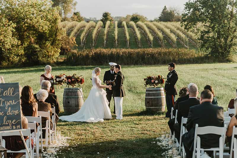 Wedding in Virginia Vineyard